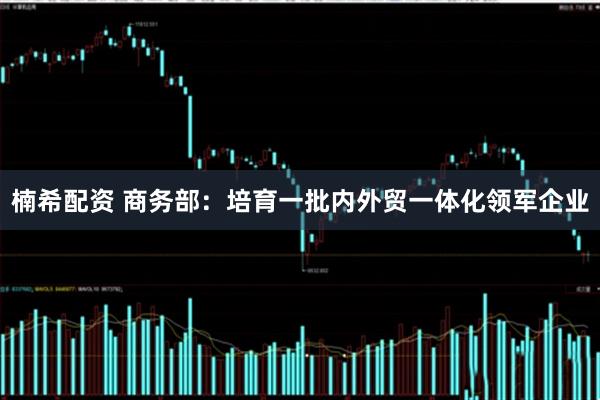楠希配资 商务部：培育一批内外贸一体化领军企业