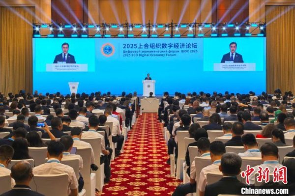 泸深在线 上海合作组织秘书长：以合作应对数字技术差距 推动共同发展