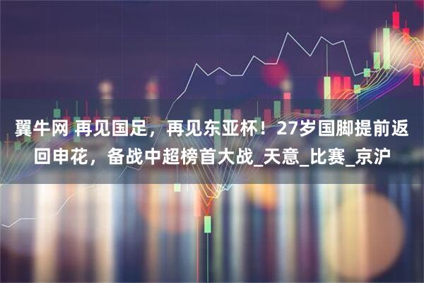 翼牛网 再见国足，再见东亚杯！27岁国脚提前返回申花，备战中超榜首大战_天意_比赛_京沪